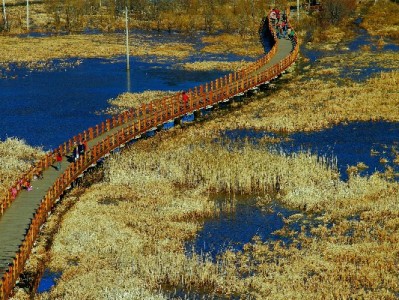 抖音月付套现可行吗？这些风险和合规替代方案要知道