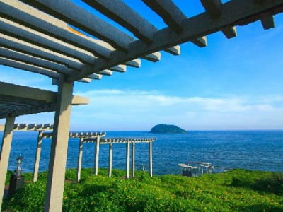 白条取出额度利息怎么算？出财小神教你合规操作更省心