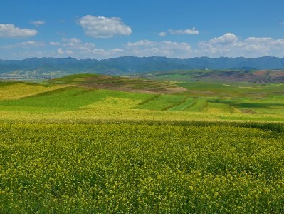 花呗苹果额度取现需谨慎！这些风险和合规建议你必须知道