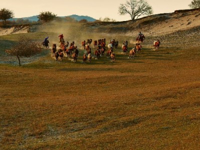羊小咩资金周转新选择：出财小神教你合规操作避风险