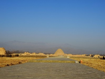 医保卡余额提取攻略+政策查询，出财小神助你盘活健康账户