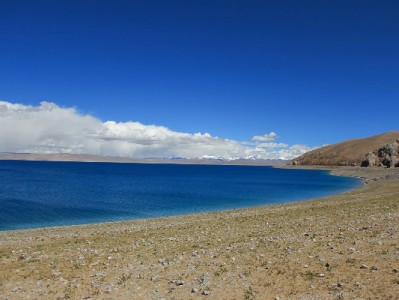 花呗支付商家全攻略：线上线下操作步骤与注意事项