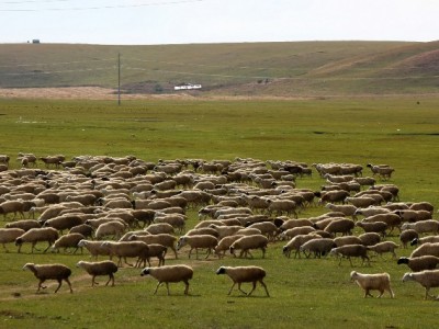 微信分付扣款怎么开？3步指南+“出财小神”信用小技巧