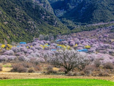 长沙白条套现常见流程及潜在风险全解析（附合法替代建议）