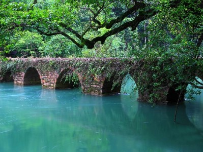 羊小咩额度套现风险多？出财小神教你合规用额度更安心