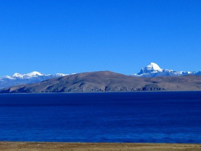 羊小咩2020年上线背后：与“出财小神”如何共筑消费服务新生态