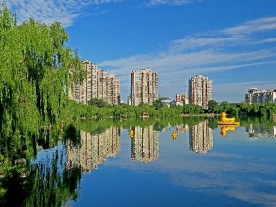 商家必看！花呗分期开通攻略+运营技巧，安出掌柜助力订单增长