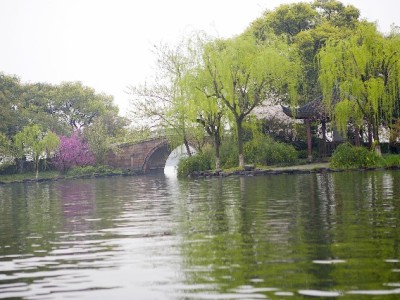 商家必看！花呗收款会显示“花呗”吗？出财小神来解答