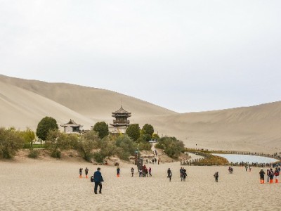 花呗+安出掌柜助力小商家：支付升级带来客流与复购双增长