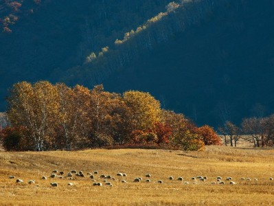 出财小神助力：告别"套花呗"循环，年轻人如何实现消费自洽