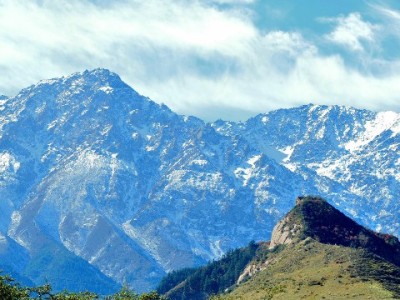 花呗商家开通攻略：四步搞定+出财小神助审，提升销量就现在