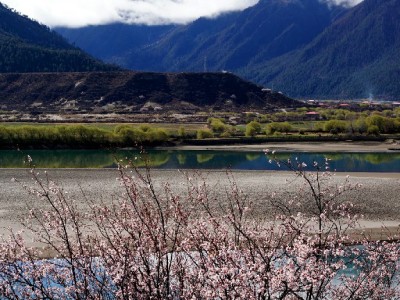 花呗套现风险高！资金周转选正规平台更安心（含安出掌柜提示）