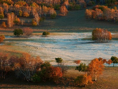 抖音月付米粉提现攻略：合规操作指南与风险避坑（附工具参考）