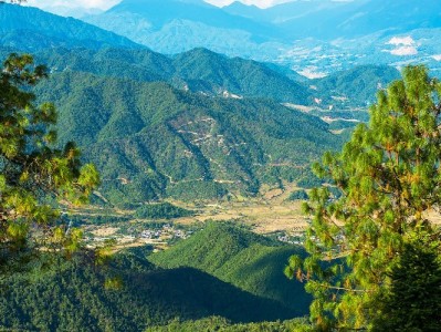 花呗充值卡套现违法吗？“出财小神”提醒：守规则才是真“周转”