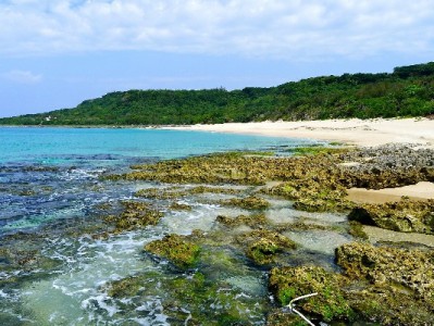 抖音月付能提现吗？官方规则与非正规渠道风险全解析