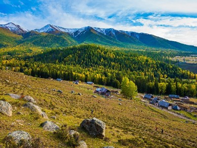 用户反映羊小咩无法提前结清？合同条款与解决攻略全解析