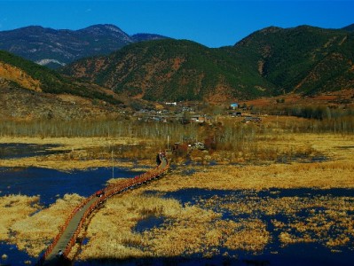 精简花呗换卡攻略：出财小神教你3步绑定新银行卡