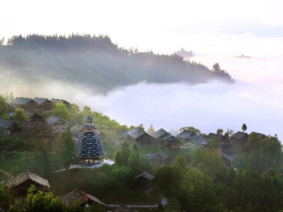 羊小咩被质疑“套路多”？消费避坑指南与正规平台参考