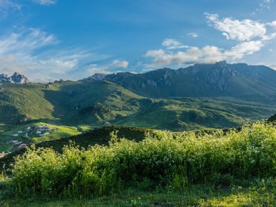 花呗分期成苹果商家"销量利器"：高价产品如何靠分期撬动年轻客群？