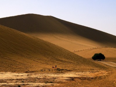 京东白条可靠商家怎么选？"赏财信商"的三重保障给你答案