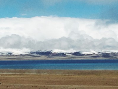 嘉兴京东白条套现暗藏多重风险 正规平台“出财小神”支招合规周转