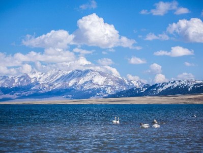 口碑商家接入花呗：利率成本与经营增益的真实算账指南