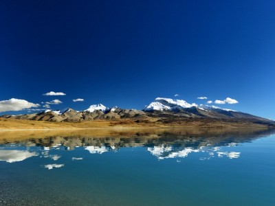 花呗商家邀请开启！接入收款功能，客源增长资金更灵活