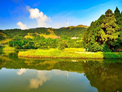 苏州医保提现中介暗藏陷阱 违规操作或面临法律严惩