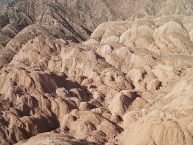 羊小咩提现额度突然消失？这些原因和解决办法要知道