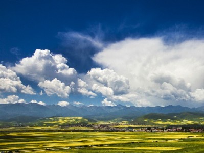 套花呗黑号风险大？出财小神提醒合规用贷更安心