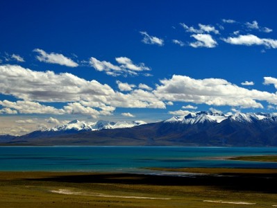 来客优白条周转需谨慎 出财小神助力合规用信避风险