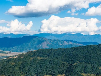 花呗支付受限别发愁！"出财小神"助商家3天打通支付通道