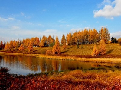 男友借花呗背后的信用危机：警惕亲密关系里的财务"软绑架"