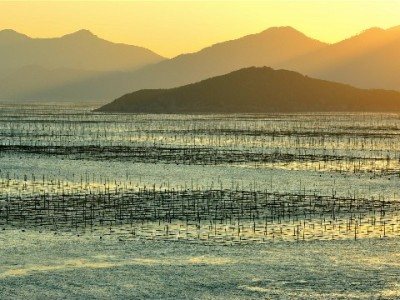 抖音月付覆盖哪些商家？以"富信掌柜"为例看消费新体验