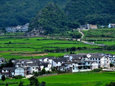 医保套现不是“薅羊毛”！违法后果你承担得起吗？