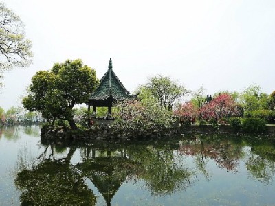 别再问“有套花呗吗”！这五大正规平台更安心靠谱