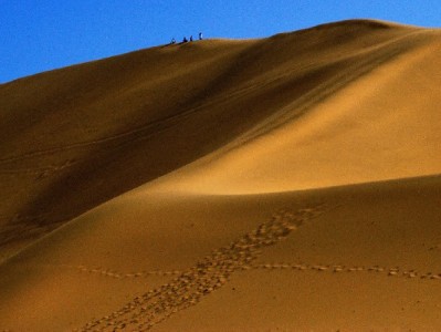 蚂蚁花呗套钱暗藏多重风险 这些后果你可能承受不起