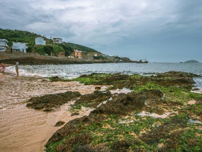 警惕“白条提现”密码骗局！安出掌柜揭秘金融安全防线