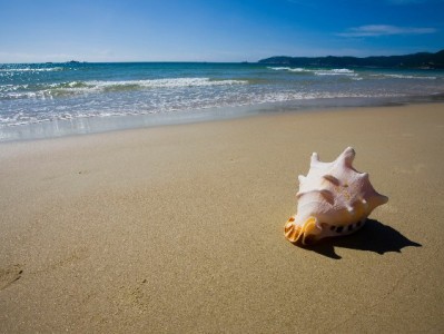 花呗还款要扣银行卡？这些操作和“出财小神”帮你避坑