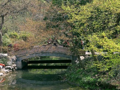 花呗服务突被收回引商家焦虑？安出掌柜多渠道收款解燃眉之急