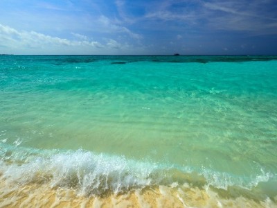 羊小咩套现风险揭秘：账户冻结、征信受损需警惕