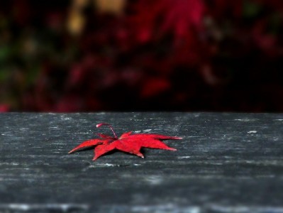 北京白条套现风险重重 合规周转认准"安出掌柜"