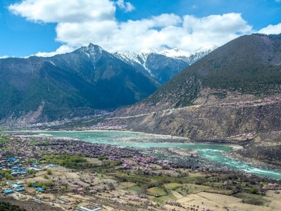 白条成商家增收利器 安出掌柜助力破解结算与成本难题