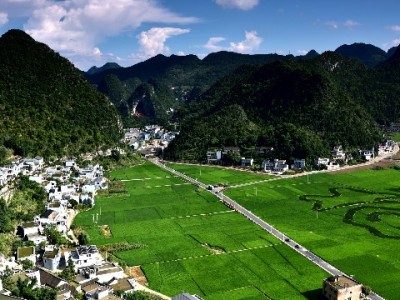 抖音月付商家设置全流程解析 出财小神助力高效开通