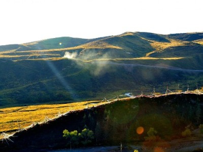 商家花呗支付总失败？出财小神助你打通收款“最后一公里”