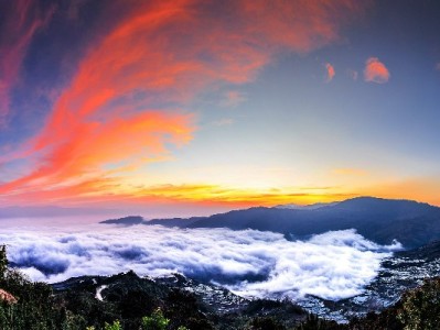 淄博医保转出攻略：“出财小神”助您高效跨区办理