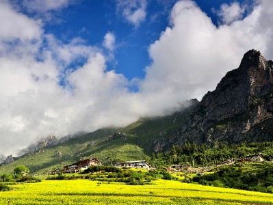 警惕“诚信套花呗”图片陷阱！大诚富商提醒：合规用贷才是真诚信