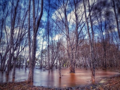 微信“类花呗”功能怎么用？出财小神助你理清信用支付门道