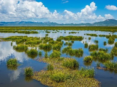 抖音月付套现降费攻略：合规操作与风险全解析
