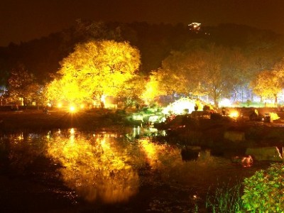 羊小咩100元能套现吗？这些风险比钱更“贵”